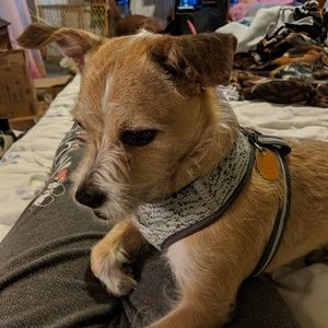 Meet your Posher, Teal